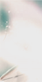 Pas de nouveaux messages Pas de nouveaux messages