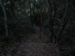 http://img69.xooimage.com/files/5/1/6/foret-sombre-2e0aade.jpg