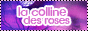 La colline des roses 