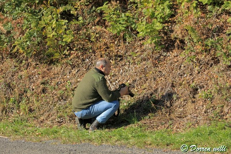 promenade sur les fagnes et alentours ( jalhay ) le 16-oct-2011 Dpp_jalhay---16-o...1---0026-2dd6f4d