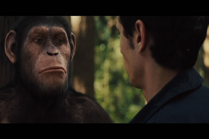 Ver Pelicula War For The Planet Of The Apes Online en