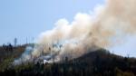 http://img69.xooimage.com/files/9/6/4/feu-foret-fraize-2e0a7f9.jpg